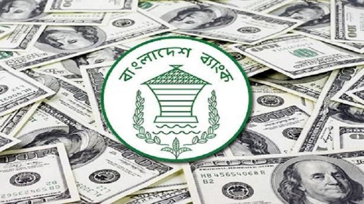 প্রবাসী আয় ৬ মাসে বেড়েছে প্রায় ৩৮ শতাংশ