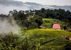 এই শীতে ঘুরে আসতে পারেন সাজেক ভ্যালি