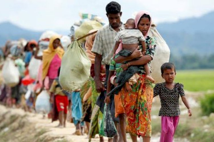 রোহিঙ্গা সমস্যা: দিল্লীর ভূমিকায় সংসদীয় কমিটির ক্ষোভ