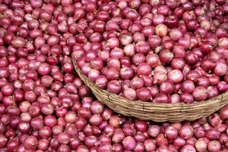 ভারত থেকে আবারো পেয়াজ আমদানি শুরু