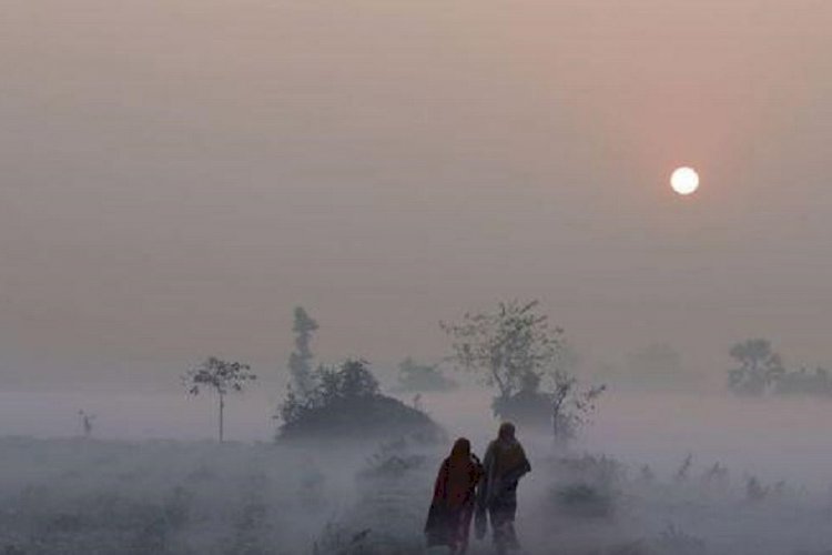 ‘মাঘের শীতে বাঘে কাঁপে’