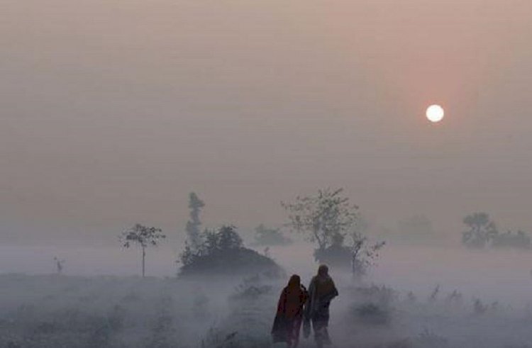 ‘মাঘের শীতে বাঘে কাঁপে’