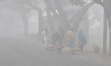 তীব্র শৈত্যপ্রবাহের ফাঁদে দেশ, থাকবে সপ্তাহজুড়ে