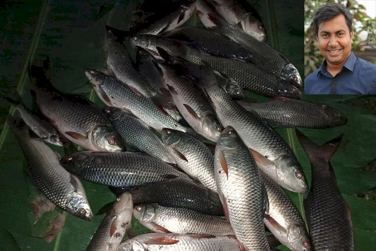 উদ্যোক্তা হওয়া হলোনা শফিকের!