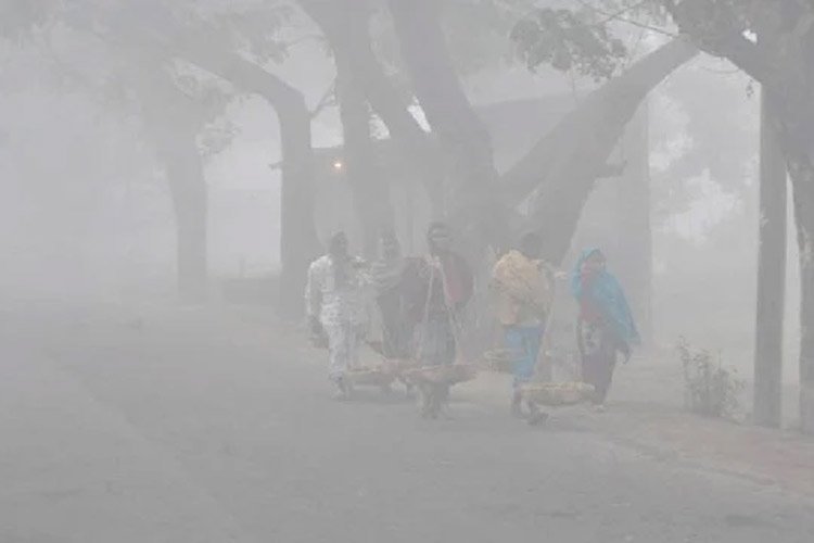 তীব্র শৈত্যপ্রবাহের ফাঁদে দেশ, থাকবে সপ্তাহজুড়ে