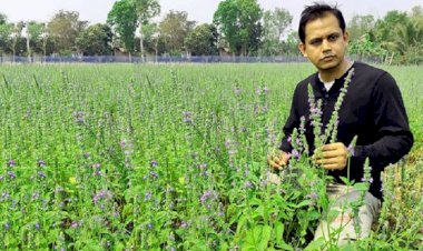 এক চিকিৎসকের কৃষিতে সফলতার গল্প 