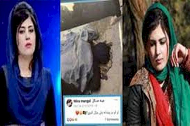 আফগানিস্তানে বন্দুকধারীদের হামলায় তিন নারী সাংবাদিক নিহত