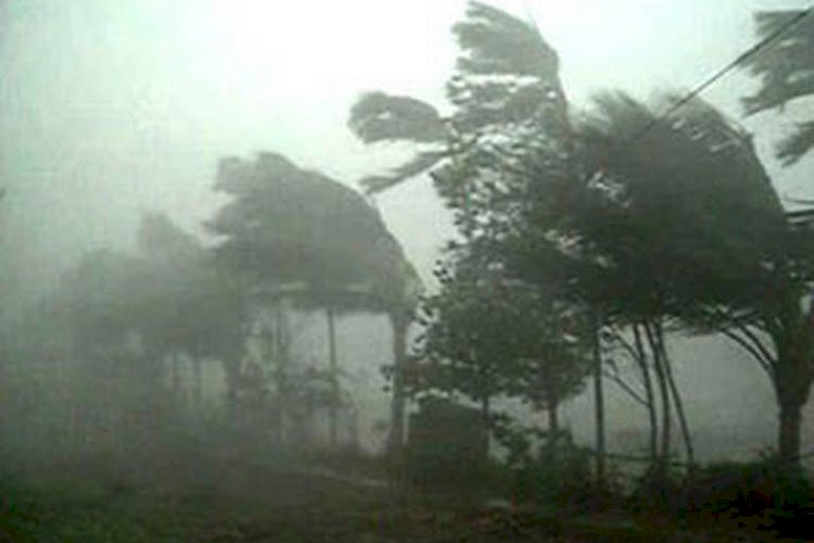 বছরের প্রথম কালবৈশাখীর আঘাত ঢাকাসহ ৬ জেলায়
