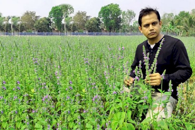 এক চিকিৎসকের কৃষিতে সফলতার গল্প
