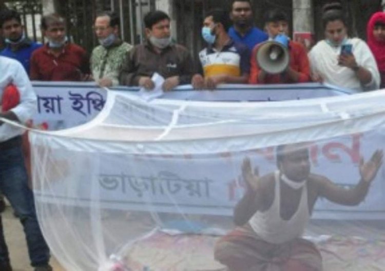 অভিনব প্রতিবাদ: রাস্তায় মশারি টানিয়ে ক্ষোভ