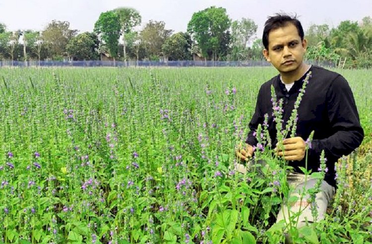 এক চিকিৎসকের কৃষিতে সফলতার গল্প