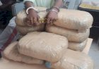 হাতিরঝিলে ২৭ কেজি গাঁজাসহ গ্রেপ্তার দুই