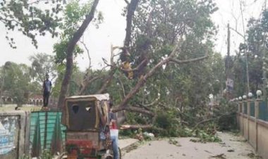 গাইবান্ধায় কালবৈশাখীর ঝড়ে প্রাণহানী ৭