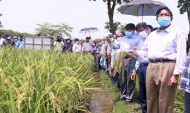 কৃষকদের ৪২ কোটি টাকার প্রণোদনা : কৃষিমন্ত্রী