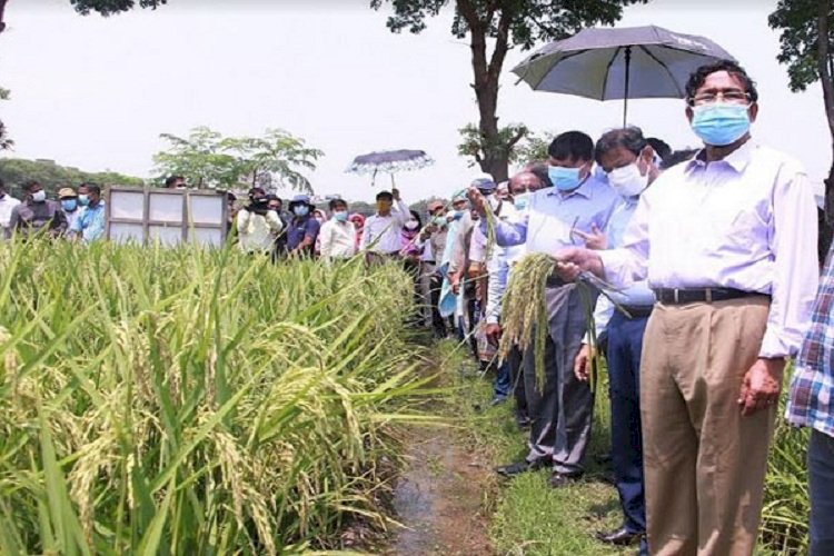 কৃষকদের ৪২ কোটি টাকার প্রণোদনা : কৃষিমন্ত্রী