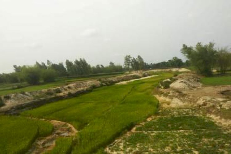 খননের বছরেরই মরে যাচ্ছে বুড়ি তিস্তা