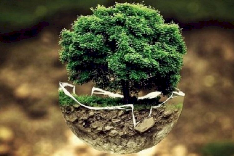বিশ্ব ধরিত্রী দিবস আজ