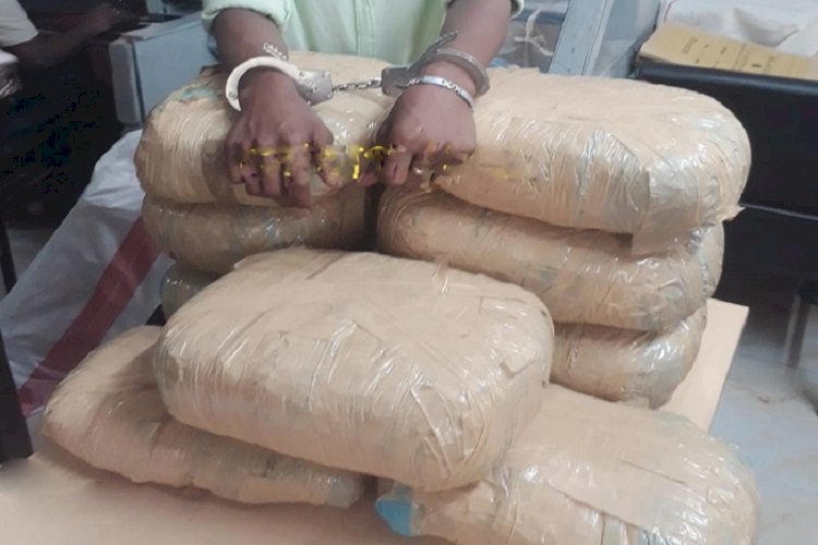 রাজধানীতে ১৬ কেজি গাঁজাসহ ব্যবসায়ী গ্রেফতার