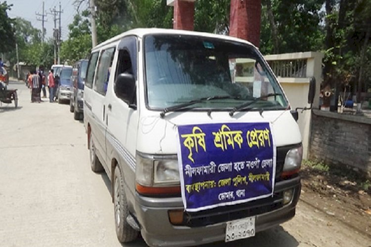 ১০ হাজার কৃষি শ্রমিক ধান কাটতে ডোমার ছাড়ছেন