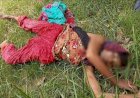 বিনেরপোতা ধান গবেষণা ইনস্টিটিউটের ভিতর নারীর লাশ উদ্ধার