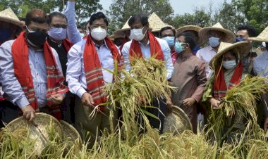 দেশে খাদ্য নিরাপত্তার চ্যালেঞ্জ মোকাবেলা করা সম্ভব হচ্ছে : কৃষিমন্ত্রী