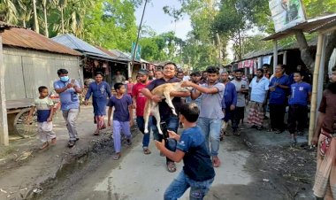 পশুর প্রতি নিষ্ঠুরতার ভিডিও, ব্যবস্থা নিলো পুলিশ