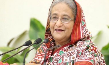 সবাইকে গাছ লাগানোর অনুরোধ প্রধানমন্ত্রীর 