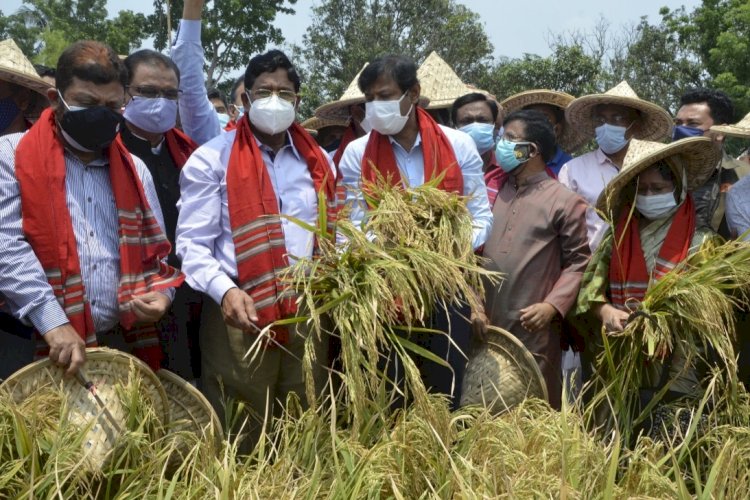 দেশে খাদ্য নিরাপত্তার চ্যালেঞ্জ মোকাবেলা করা সম্ভব হচ্ছে : কৃষিমন্ত্রী
