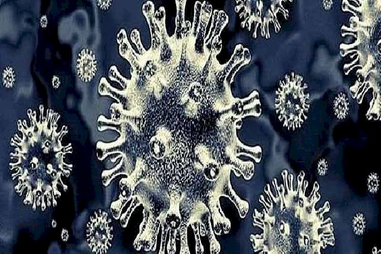 চিকিৎসকদের সন্দেহ রাজধানীতে ‘ব্ল্যাক ফাঙ্গাসে’ একজনের মৃত্যু
