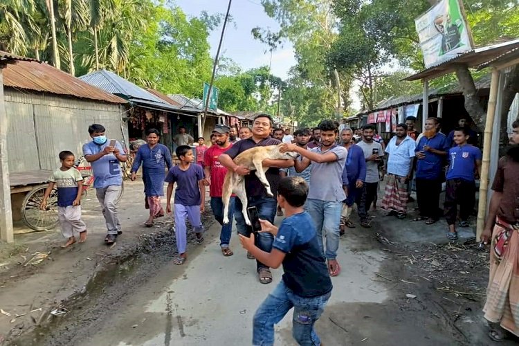 পশুর প্রতি নিষ্ঠুরতার ভিডিও, ব্যবস্থা নিলো পুলিশ