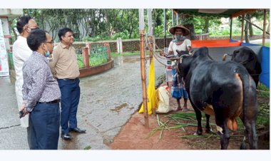 কমলগঞ্জে দিনব্যাপী প্রাণিসস্পদ প্রদর্শনী-২০২১ অনুষ্ঠিত