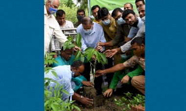 জিয়াউর রহমান হাজার হাজার বৃক্ষও ধ্বংস করেছেন