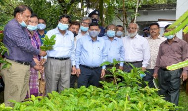 কাজুবাদাম ও কফির সম্ভাবনাকে কাজে লাগাতে সমন্বিত উদ্যোগ চলছে : কৃষিমন্ত্রী