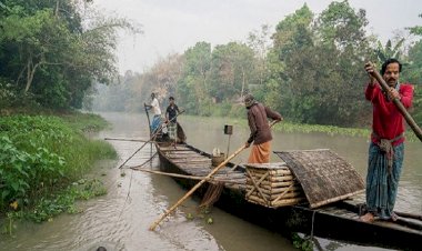 সুন্দরবনে ২ মাস মাছ ধরা বন্ধ