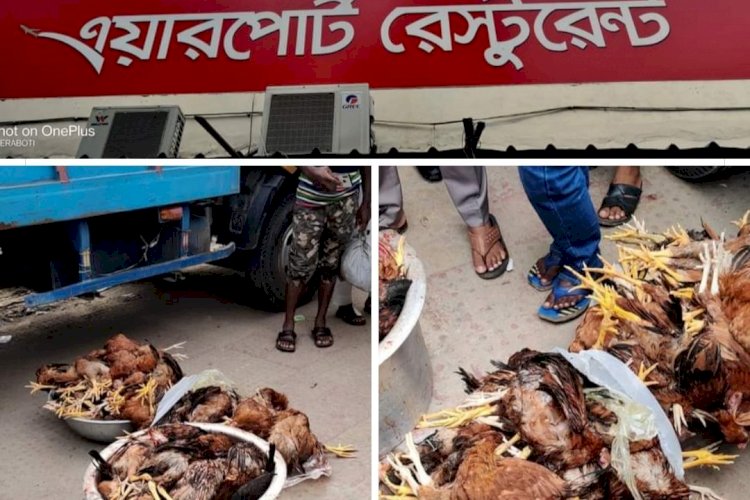 মরা মুরগি খাওয়ায় এয়ারপোর্ট রেস্টুরেন্ট!