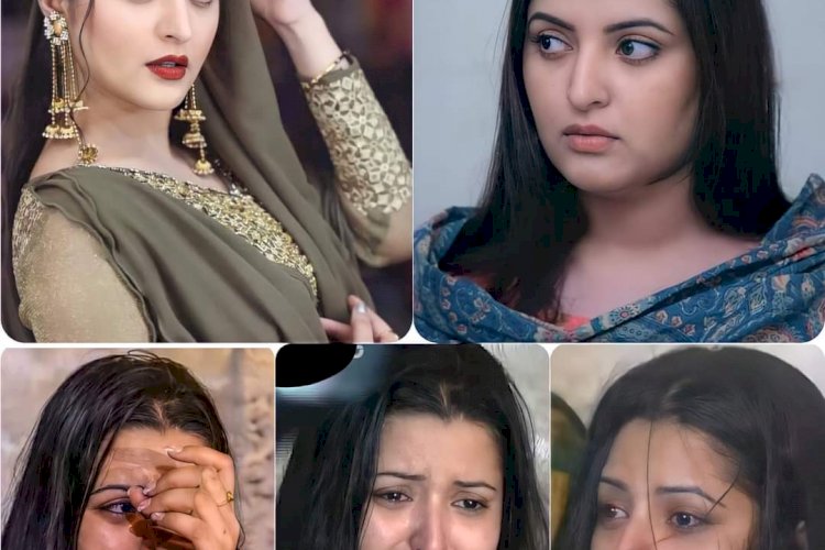 আপনাদের কি মনে হয়, মদ খেতে গিয়েছিলাম?
