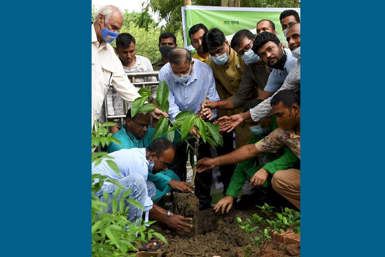 জিয়াউর রহমান হাজার হাজার বৃক্ষও ধ্বংস করেছেন