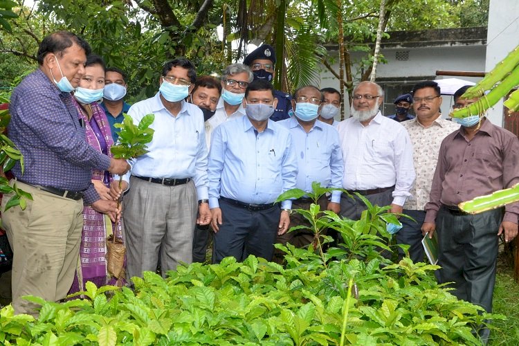 কাজুবাদাম ও কফির সম্ভাবনাকে কাজে লাগাতে সমন্বিত উদ্যোগ চলছে : কৃষিমন্ত্রী