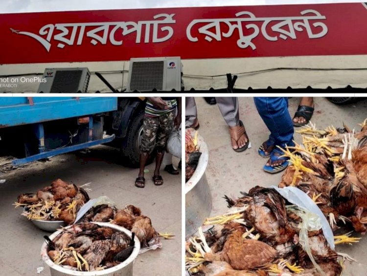 মরা মুরগি খাওয়ায় এয়ারপোর্ট রেস্টুরেন্ট!