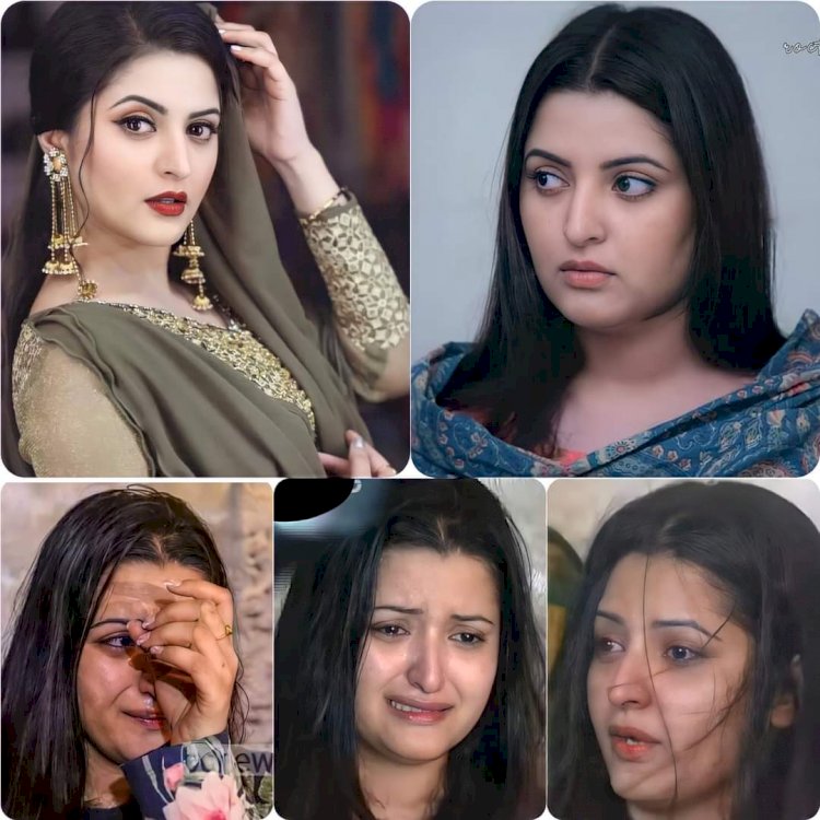 আপনাদের কি মনে হয়, মদ খেতে গিয়েছিলাম?