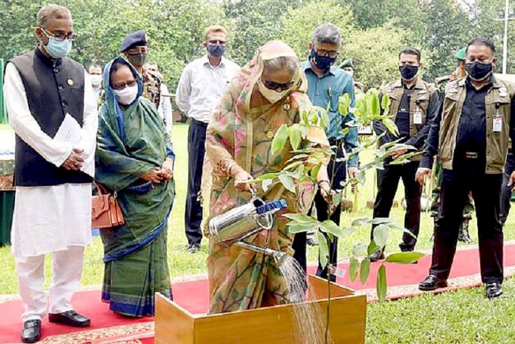 তিনটি করে গাছ লাগানোর আহ্বান প্রধানমন্ত্রীর 