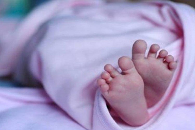 ইডেন কলেজের সামনের রাস্তায় নবজাতকের মরদেহ