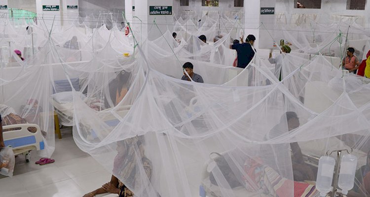 ডেঙ্গুতে আক্রান্ত হয়ে হাসপাতালে ভর্তি ৩০১ জন