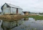 অসহায় পরিবারের জমি দখল করছে হত্যা মামলার আসামি রবি