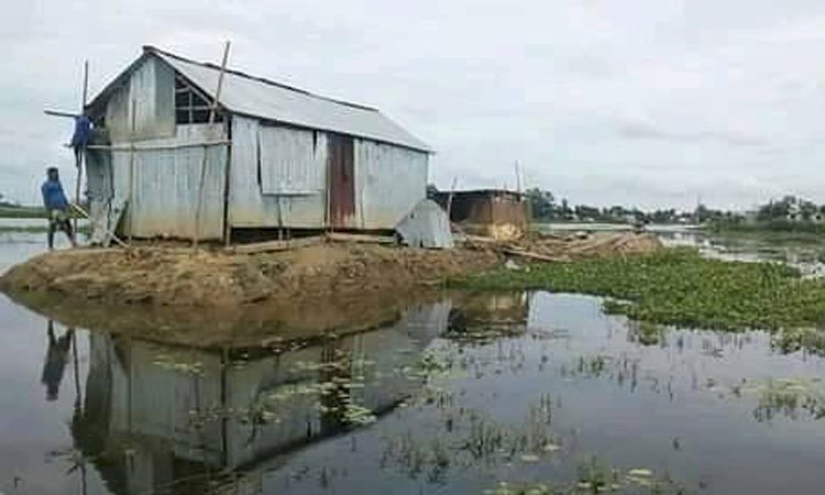 অসহায় পরিবারের জমি দখল করছে হত্যা মামলার আসামি রবি