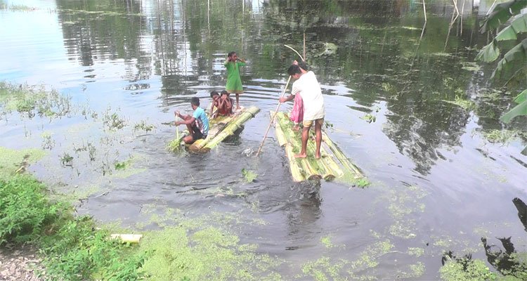 কুড়িগ্রামে বন্যা : সাড়ে ১৫ হাজার হেক্টর ফসলি জমি পানির নিচে