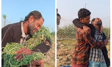 ‘ঘাস বাঁচাতে’ ১০ হাজার তরমুজ গাছ উপড়ে ফেললেন পাউবো প্রকৌশলী