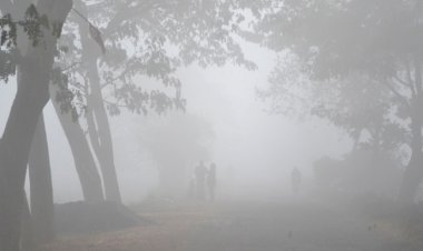 শীতে কাঁপছে কুড়িগ্রামের মানুষ, তাপমাত্রা ৭ দশমিক ৫ ডিগ্রী সেলসিয়াস