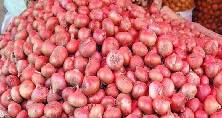 ভারত থেকে পেঁয়াজ আমদানি বন্ধ