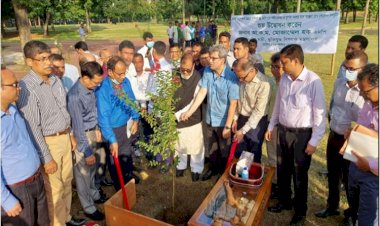 সোহরাওয়ার্দী উদ্যানে বৃক্ষরোপণ কার্যক্রমের উদ্বোধন